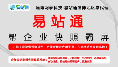 桓臺全網營銷與淄博網泰科技 打造誠信商家應用服務的系統化新生態